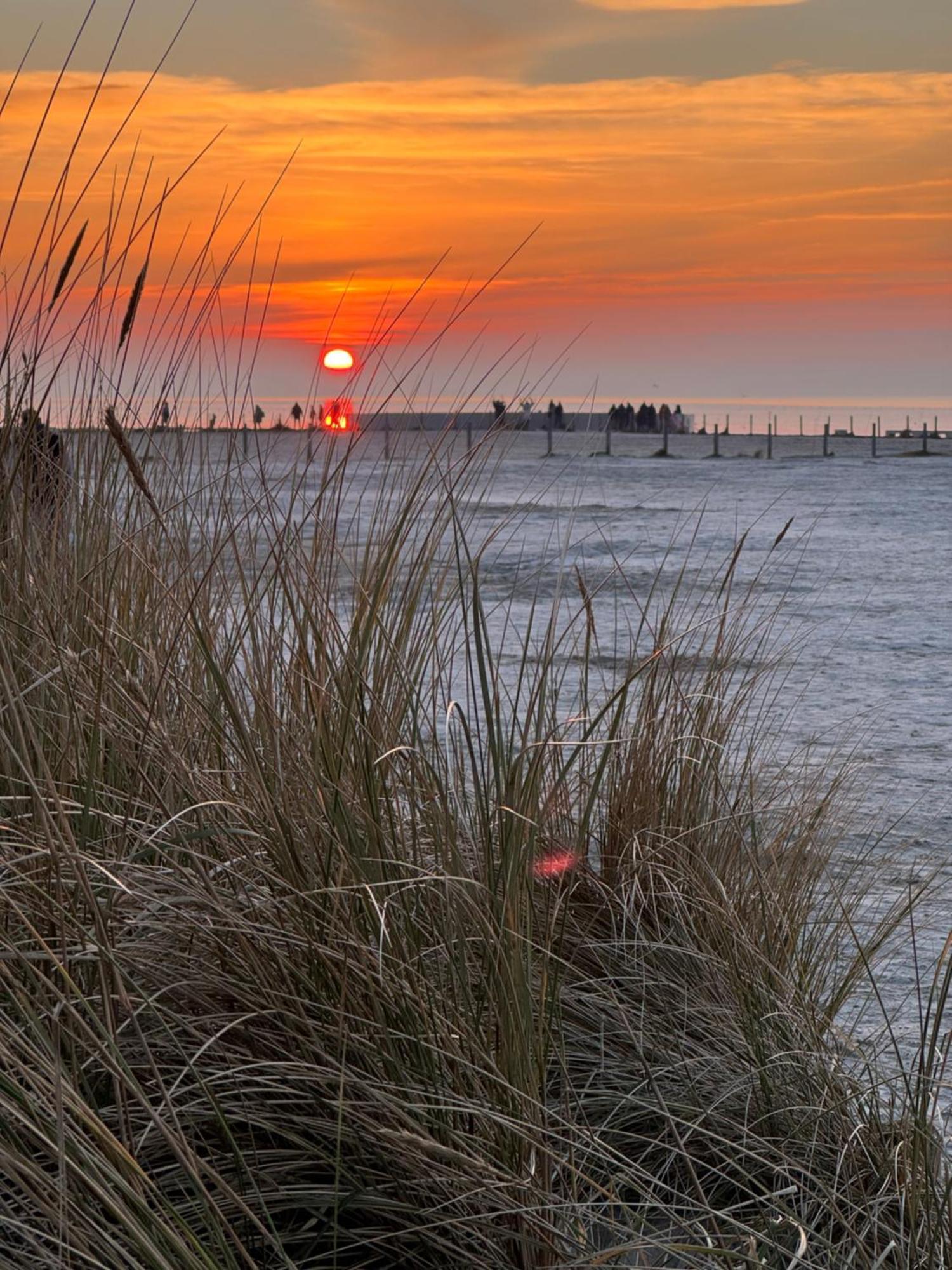 Vila Haus Juist-Norddeich Norden Exteriér fotografie